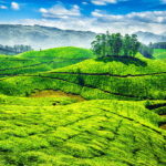 munnar